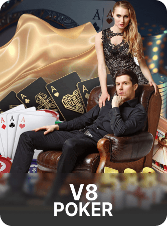 ShreeWin V8Card